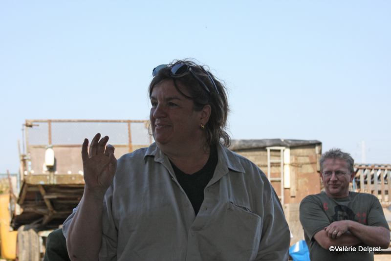 Field Erstein 09 (90).JPG